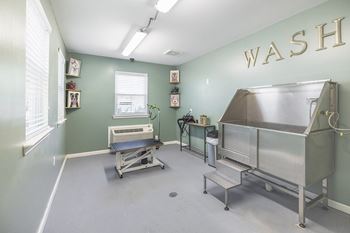 Dog washing station